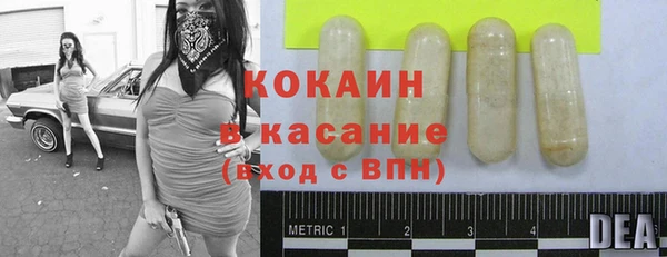 дмт Абаза