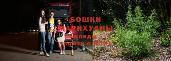 ГАЛЛЮЦИНОГЕННЫЕ ГРИБЫ Покачи