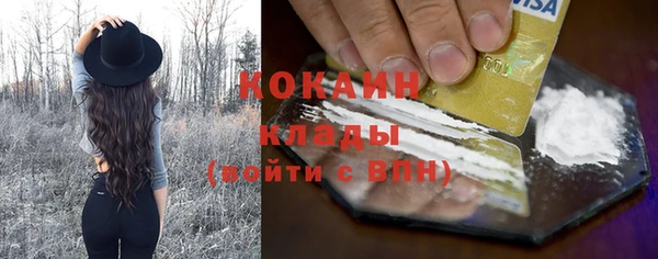 дмт Абаза